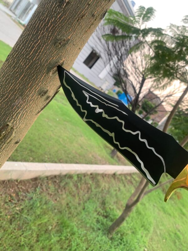 WhatsApp Image 2026-08-20 at 3.45.43 AM (1) HUNTING KNIFE ,J2 steel blade black powder coated (laser etched) and buffalo horn handle