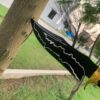 WhatsApp Image 2026-08-20 at 3.45.44 AM HUNTING KNIFE ,J2 steel blade black powder coated (laser etched) and buffalo horn handle