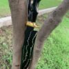 WhatsApp Image 2026-08-20 at 3.45.47 AM HUNTING KNIFE ,J2 steel blade black powder coated (laser etched) and buffalo horn handle