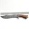 HUNTING KNIFE damascus blade rosewood an olivewood handle brass bolster with fiber spacer