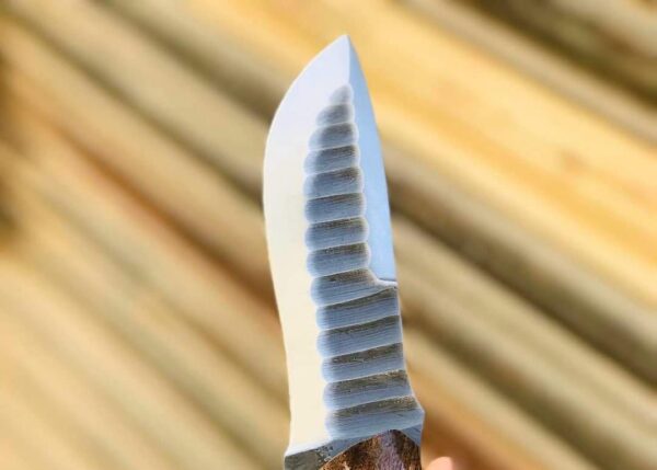 WhatsApp Image 2026-08-23 at 2.52.32 AM HUNTING KNIFE J2 steel blade (file worked) rose wood handle with mosaic pin